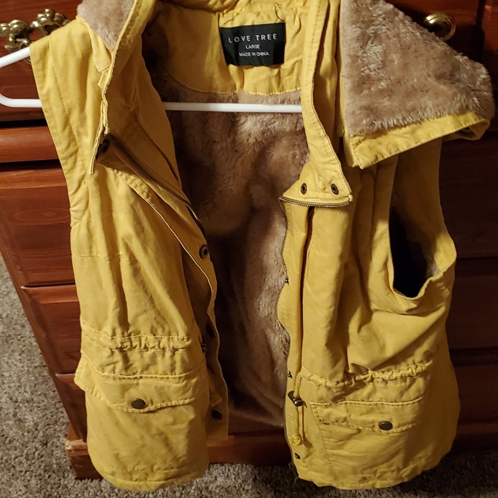 Vest